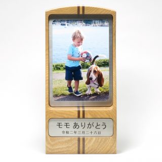 bt00004
